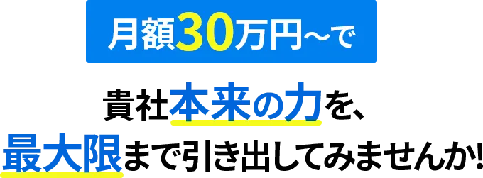 月額30万円～で　貴社本来の力を、最大限まで引き出してみませんか！