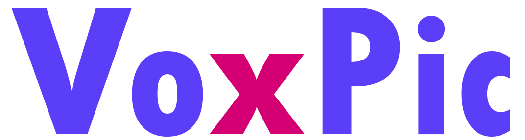VoxPic
